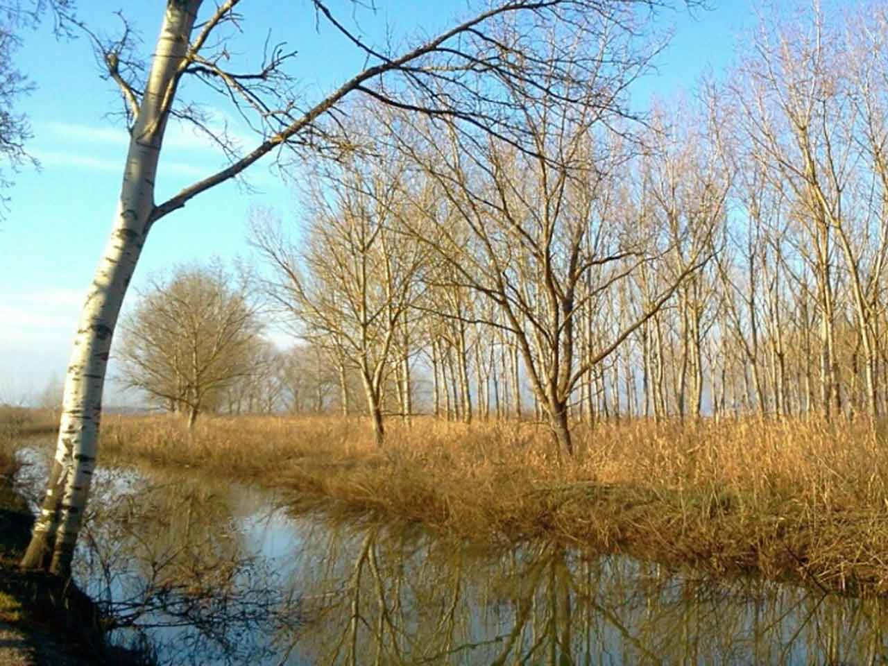 La Riserva Naturale Padule di Fucecchio