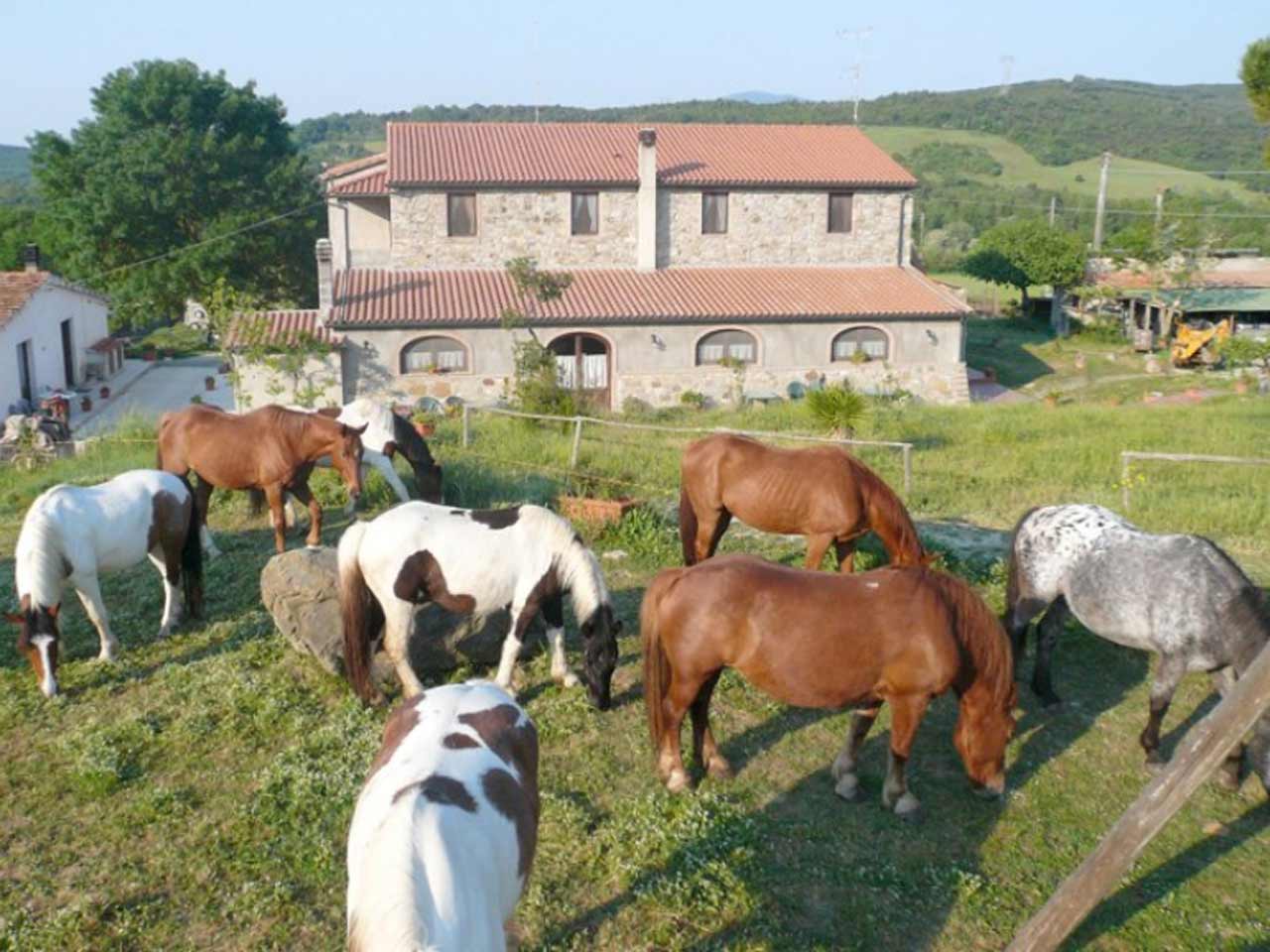 La Tenuta Sant'Agnese a Monteverdi Marittimo (PI).
