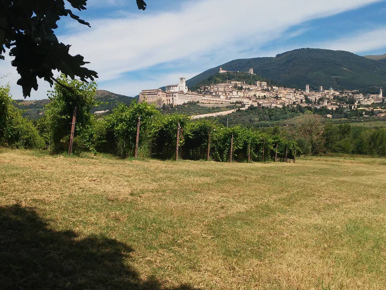 Società Agricola Saio ad Assisi - weekend in camper in Umbria