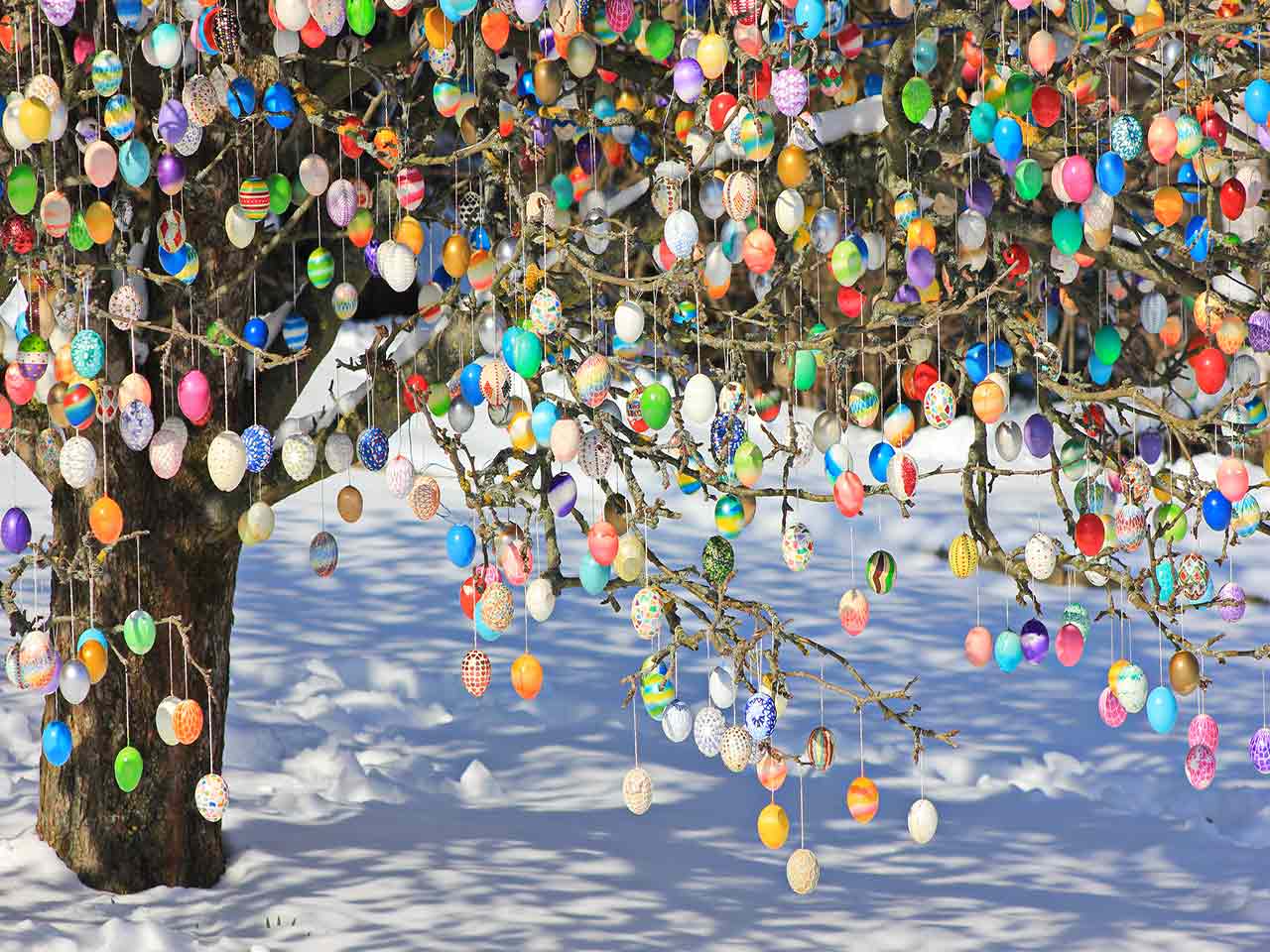 Curiosità sulla Pasqua: l'Ostereierbaum, l'albero delle uova di Pasqua.