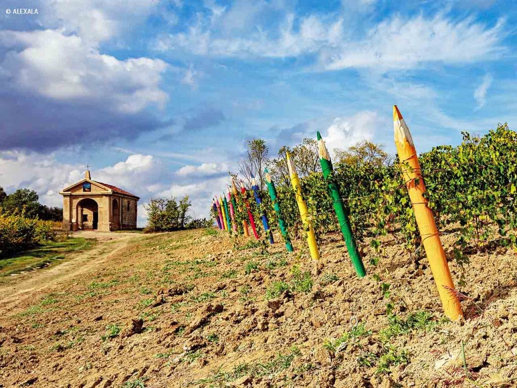La vigna Maccario a Cella Monte.
