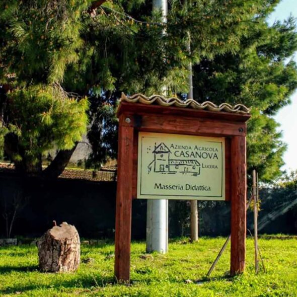 Azienda agricola casanova