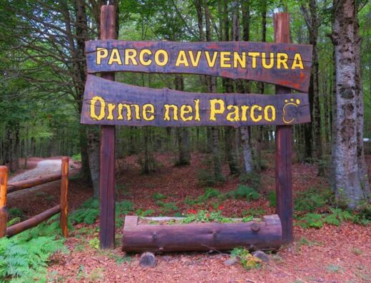 ORME NEL PARCO