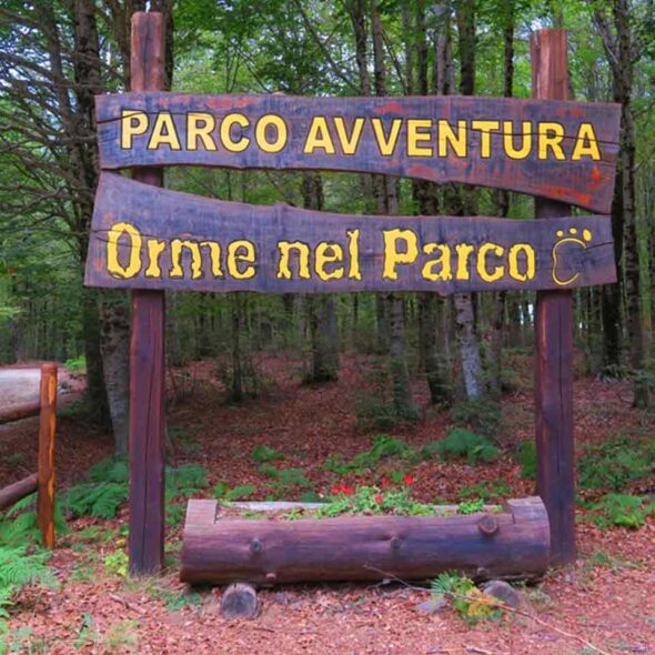 Orme nel parco