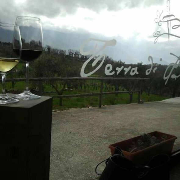 Azienda agricola terra di briganti