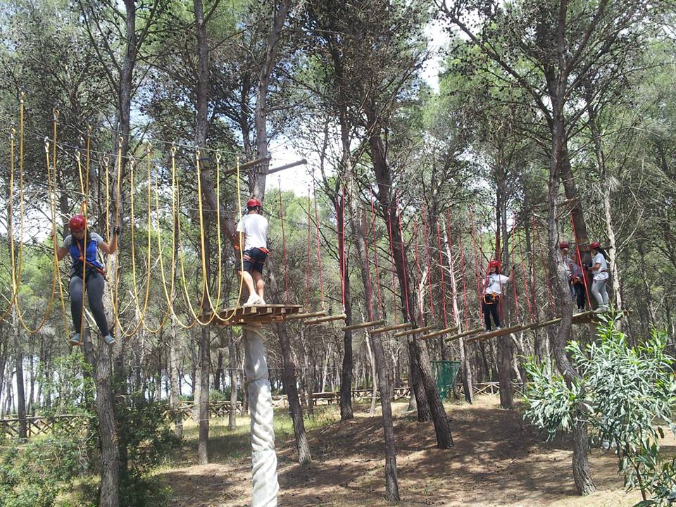 Parco avventura Torre Mattoni.