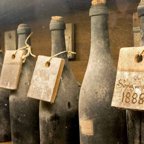 Musei del cibo - museo del vino