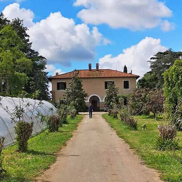 Agricampeggio il casale degli oleandri