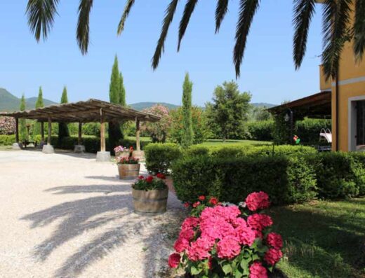AGRITURISMO EUCALIPTUS