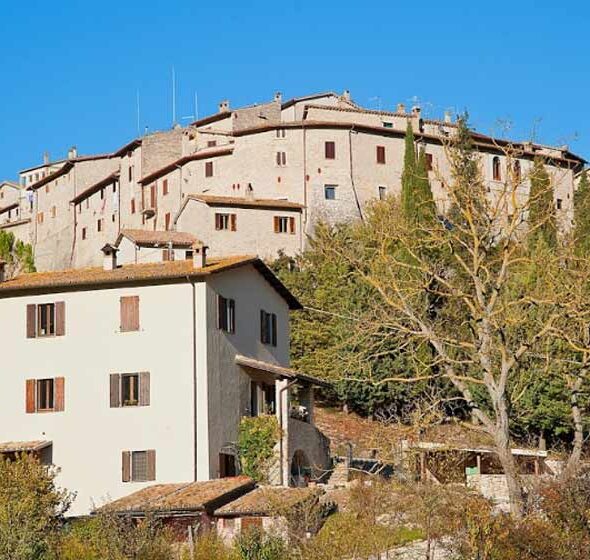 Agriturismo zafferano e dintorni