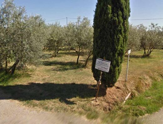 AZIENDA AGRICOLA F.LLI BONACCINI