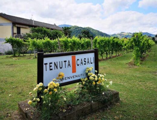 TENUTA CASALI