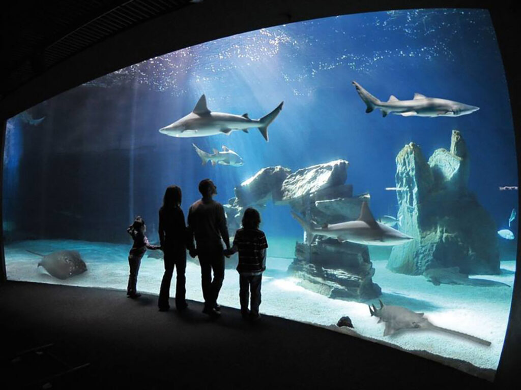 La Baia degli Squali all'Acquario di Genova, al quale puoi accedere approfittando degli sconti offerti dalla tessera del PLEINAIRCLUB.