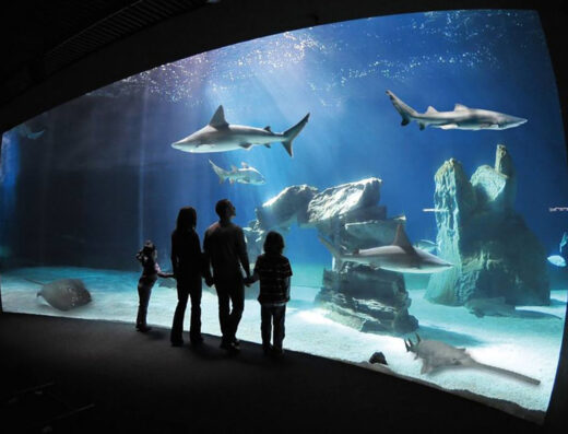 ACQUARIO DI GENOVA