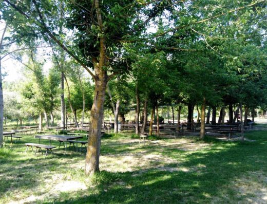 AGRICAMPEGGIO PUGLIESE