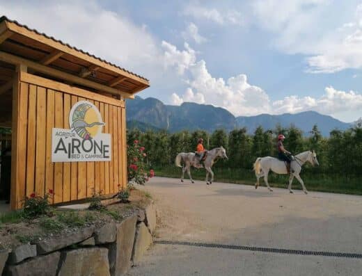 AGRITUR AIRONE BED AND CAMPING