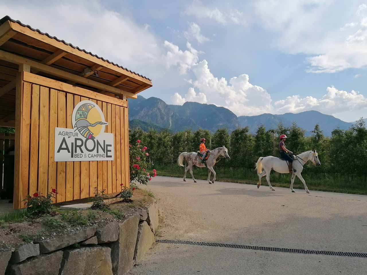Agritur airone bed & camping