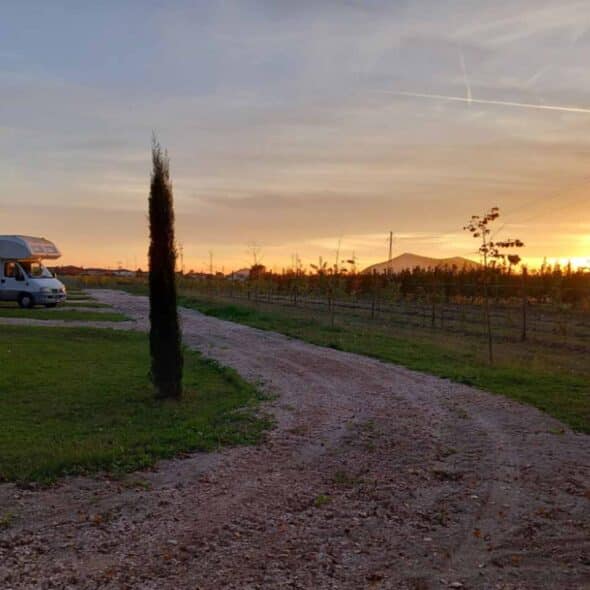 Enoturismo dofine'