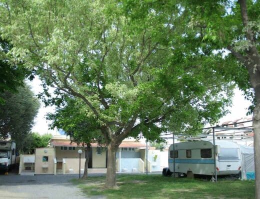 CAMPING DELFINO