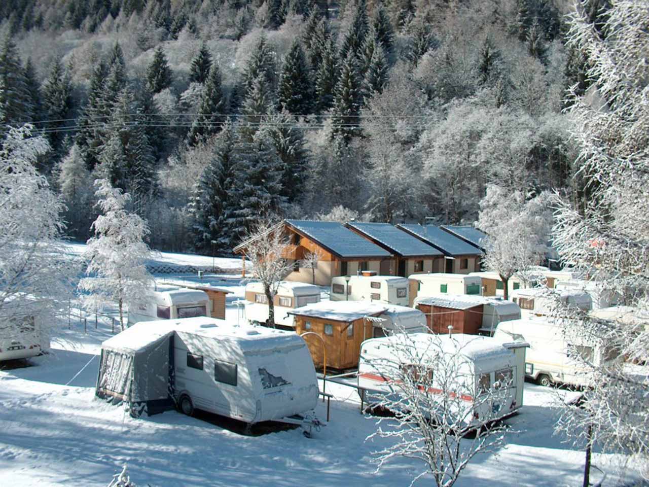 Camping presanella