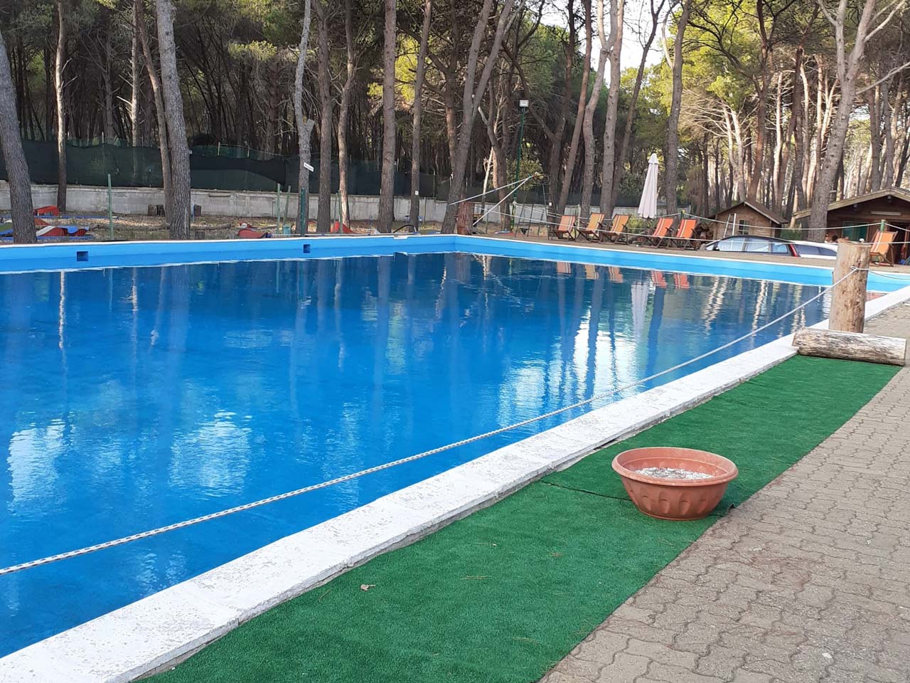 Club marziotta asd