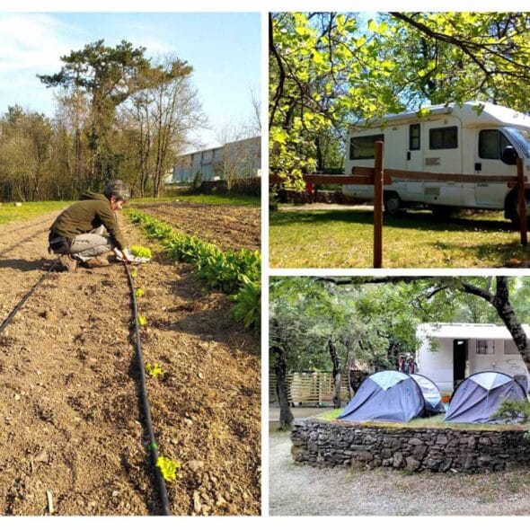 Camping agrituristico carso