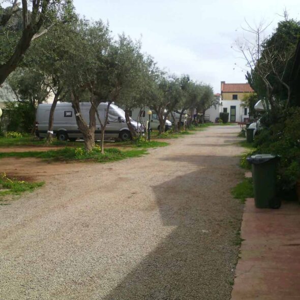 Camping degli ulivi