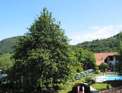 CAMPING CUSIO