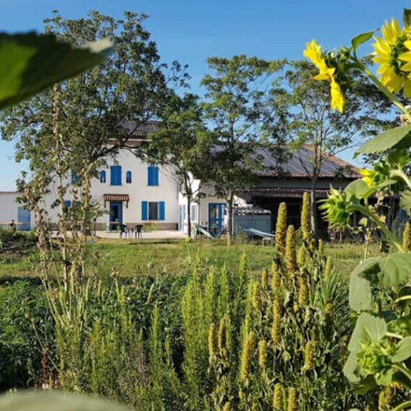 Agriturismo mangià ad campagna-elilu