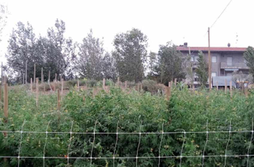 Fattoria mula d’oro