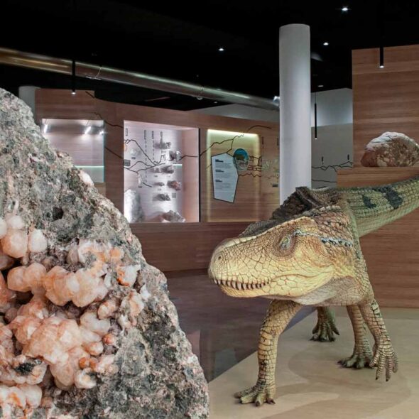 Museo geologico delle dolomiti di predazzo
