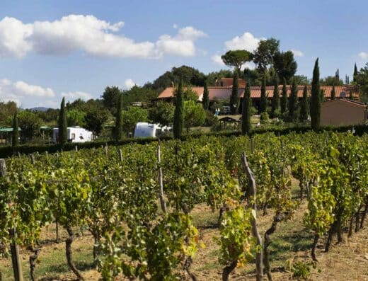 LA SERRA DEL PINO AGRICAMPEGGIO