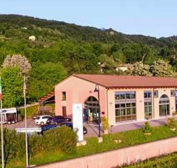 Le pignole