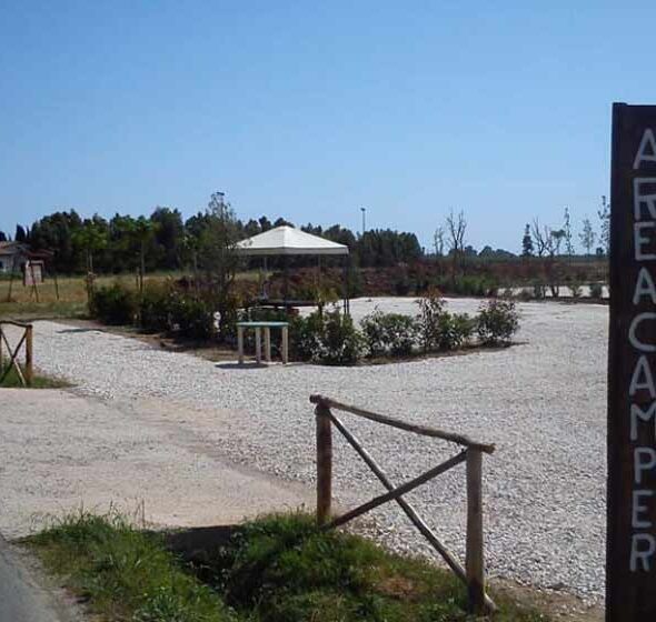 Agrisosta orticillo
