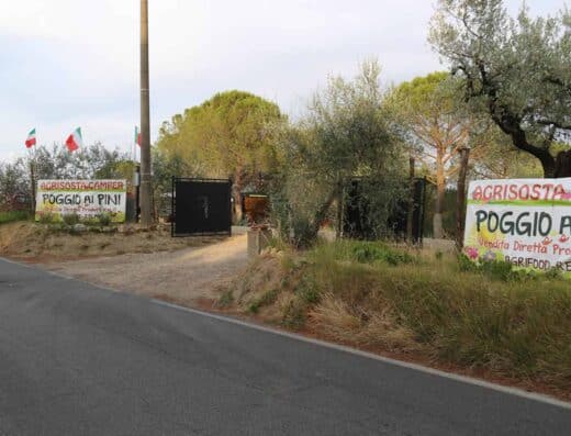 AGRICAMPING AREA DI SOSTA CAMPER POGGIO AI PINI
