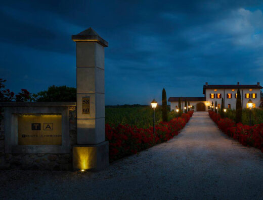 TENUTA AMBROSINI