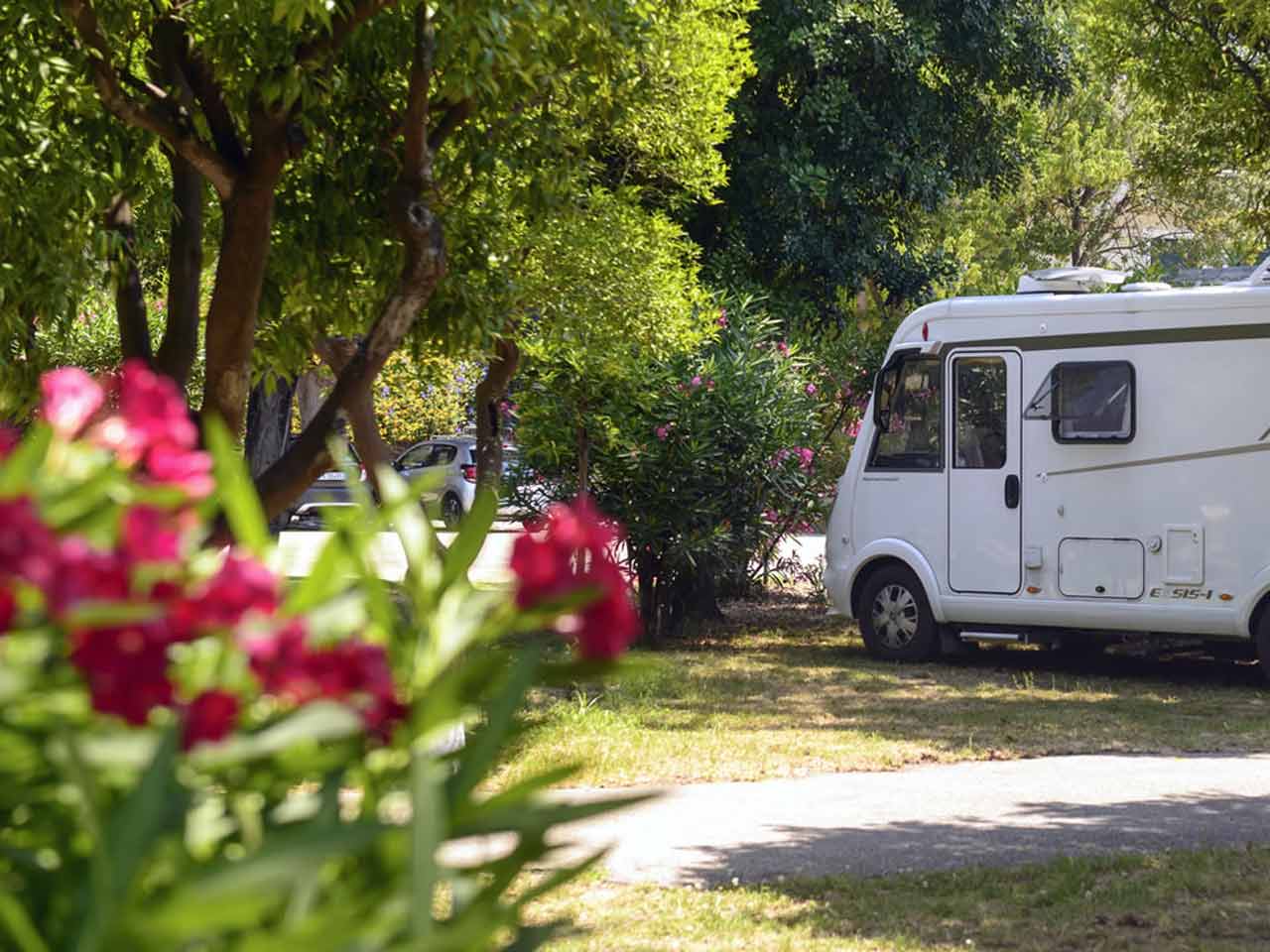 Camping zeus