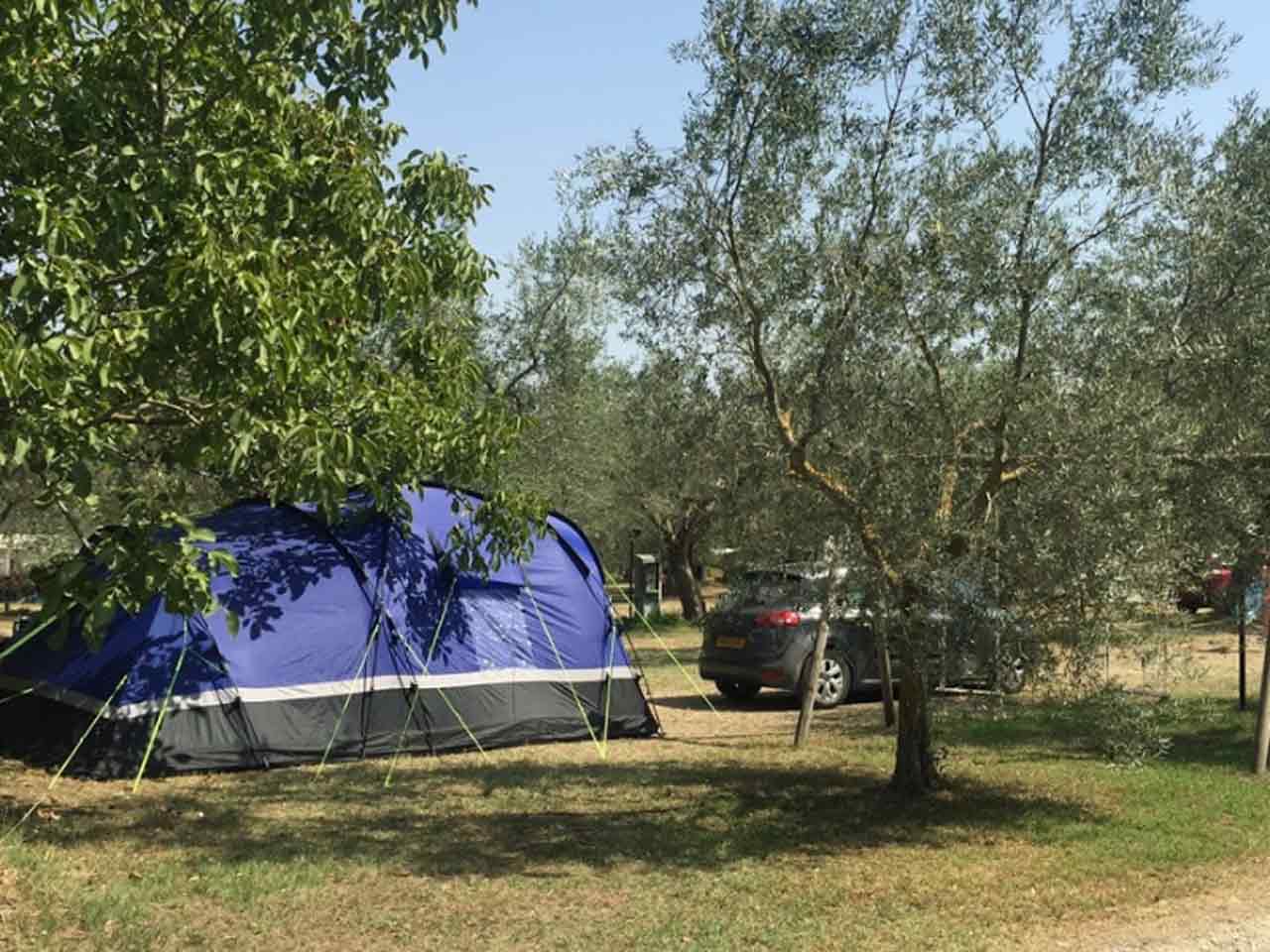 Agriturismi vicino ai laghi: lAgricamping Monterotondo a Montefiasconte (VT).