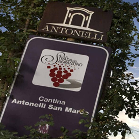 Antonelli san marco