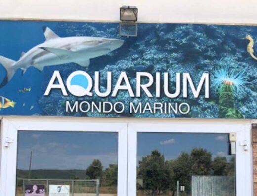 AQUARIUM MONDO MARINO