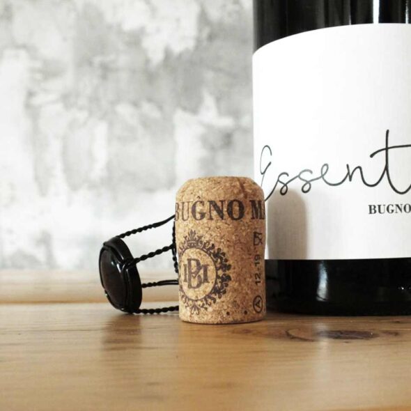 Bugno martino