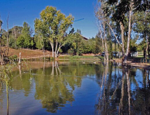 AREA SOSTA CAMPER MONZAMBANO