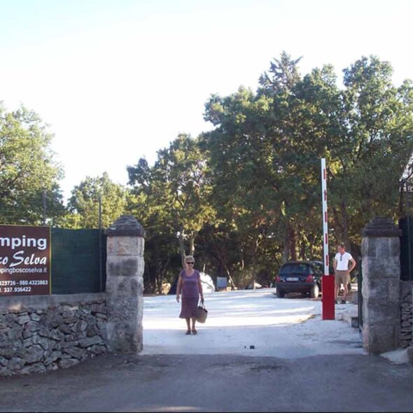 Camping bosco selva