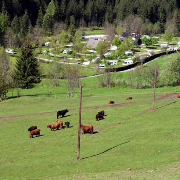 Valle verde