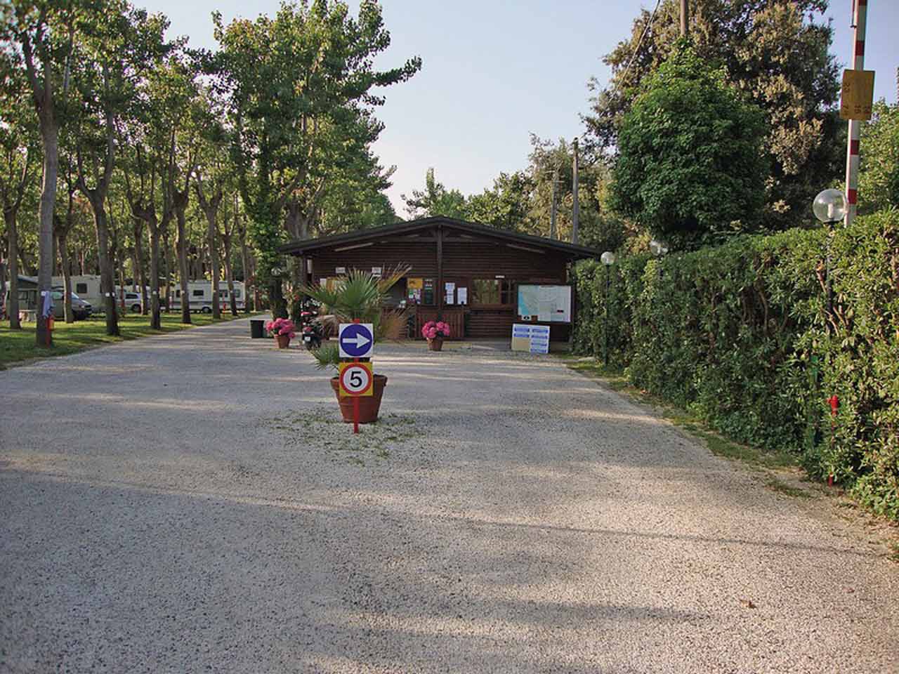 Camping viareggio