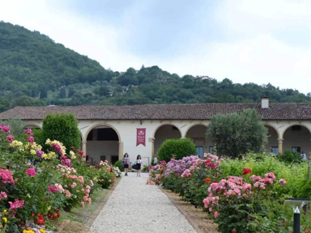 Cantina pegoraro