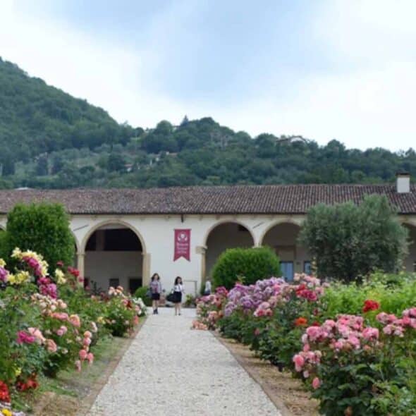Cantina pegoraro