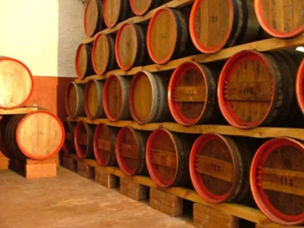 Cantine mothia