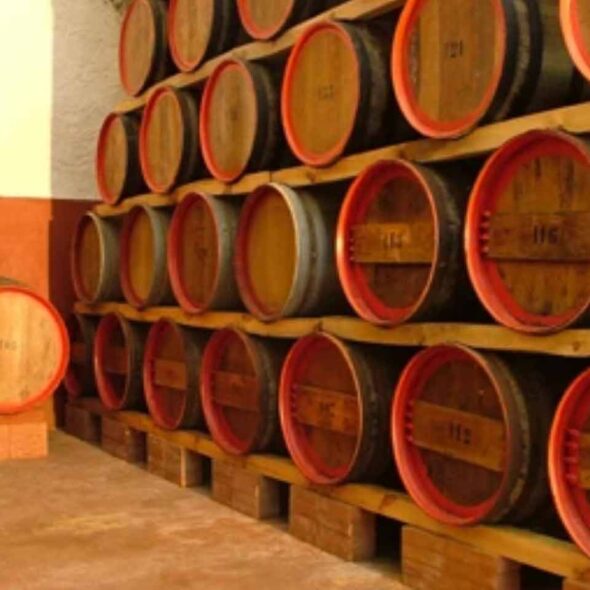Cantine mothia