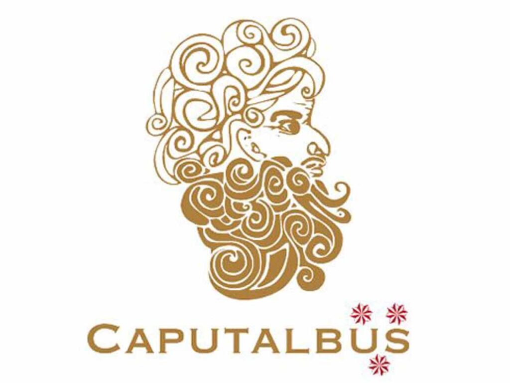 Caputalbus